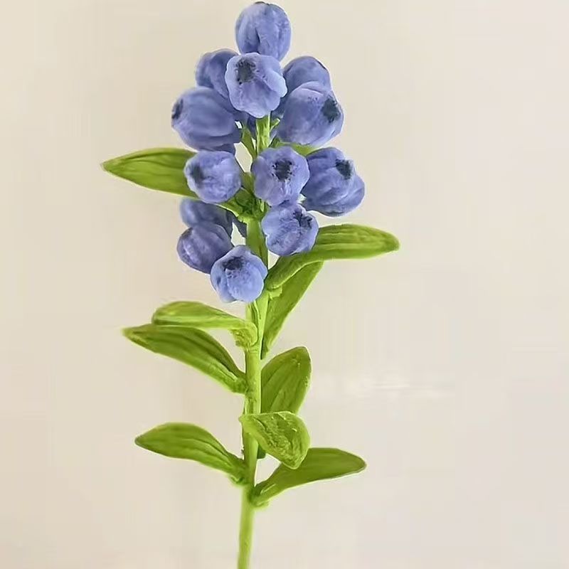 Blueberry Niuniubang Craft Kit