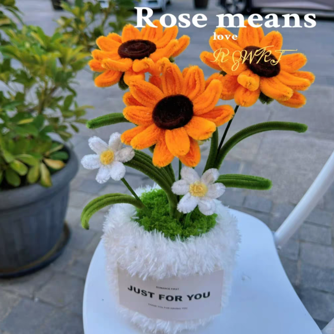 Potted Flower Niuniubang Craft Kit