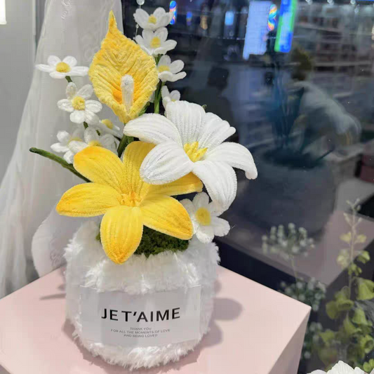 Potted Flower Niuniubang Craft Kit