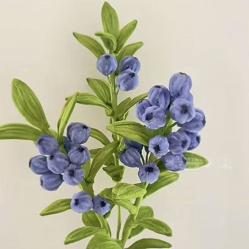 Blueberry Niuniubang Craft Kit